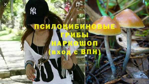 меф Ладушкин