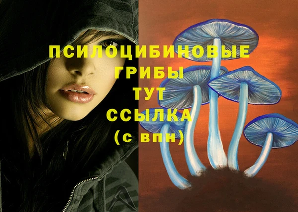 СК Лабытнанги