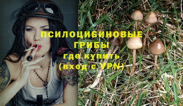 меф Ладушкин